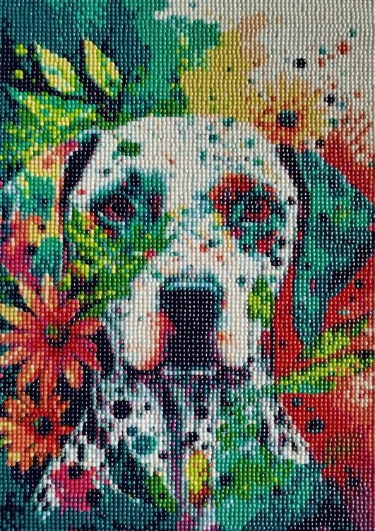 Dalmatien 30x30